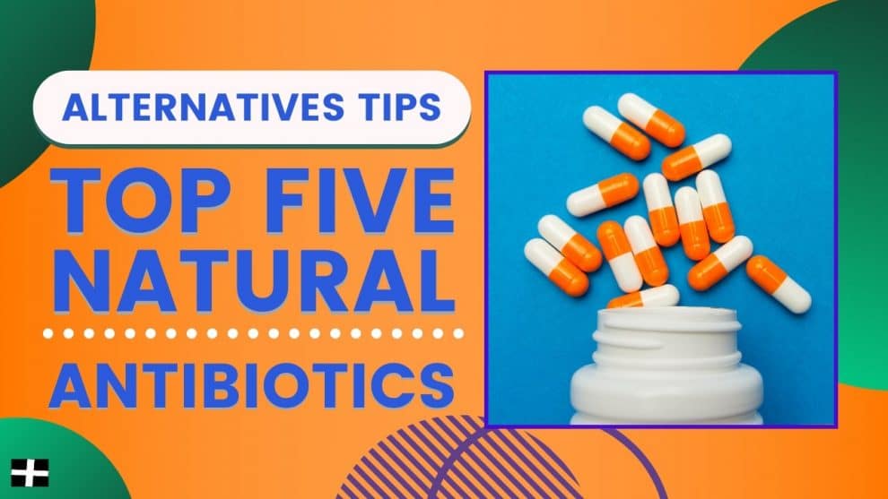 Top 5 Natural Antibiotics and Possible Alternative to ...