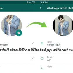 full size image on whatsapp without cutting